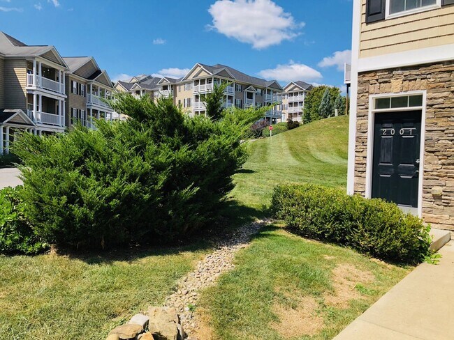 Photo - 4 bed/3.5 bath Townhouse in Suncrest Village - July 27th