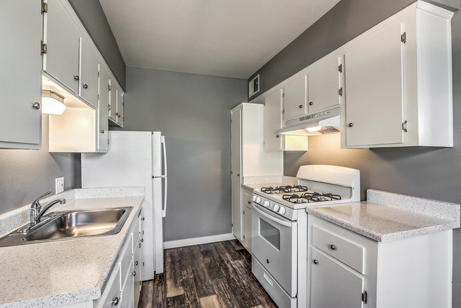 The Neon Apartments - The Neon Apartments