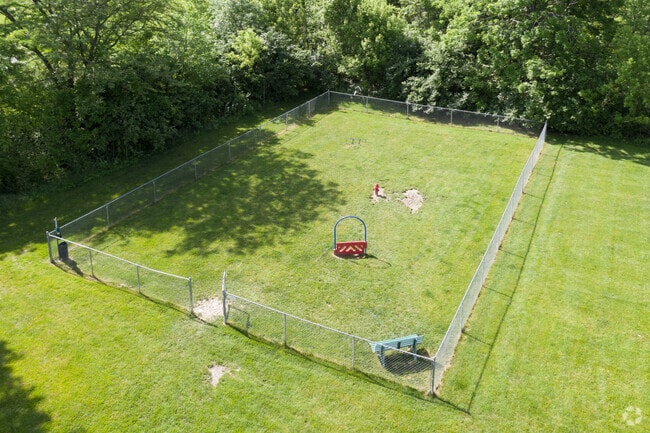 Dog Park