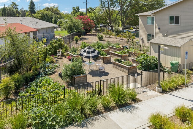 Community Garden