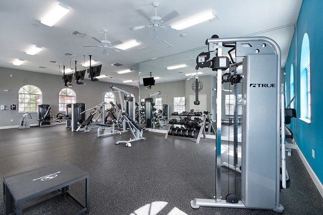 Bell Coconut Creek