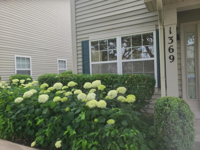 Photo - 1369 Orleans Dr