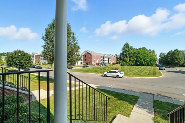View from front door - plenty of parking! - 6169 Needletail Rd Unit 6169 Needletail Rd