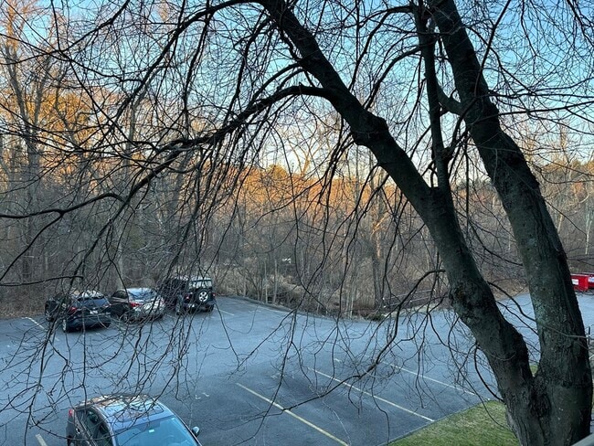 Photo - 50 Broadlawn Ave Unit 202