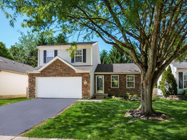 Photo - 3259 Longspur Dr