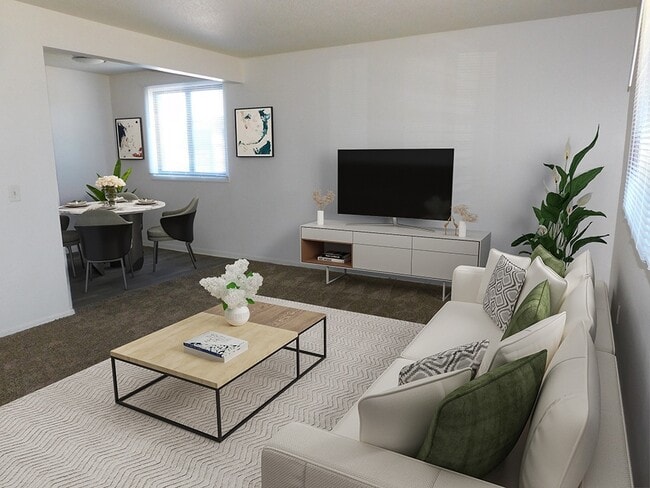 Spacious Apartment Living Room