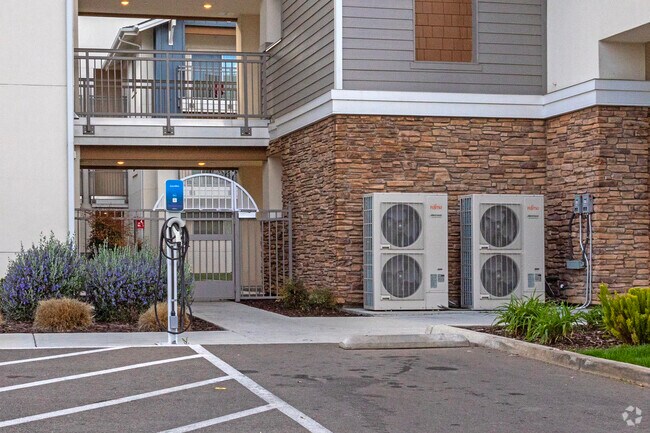 Charging - Butterfly Gardens