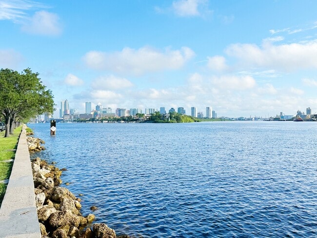 Disfruta de las vistas mientras caminas por la isla. - Davis Islands Apartments