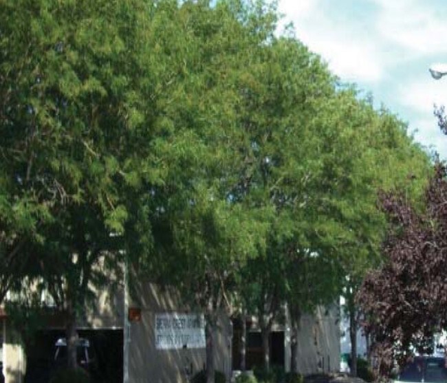 Photo - Sierra Crest Apartments