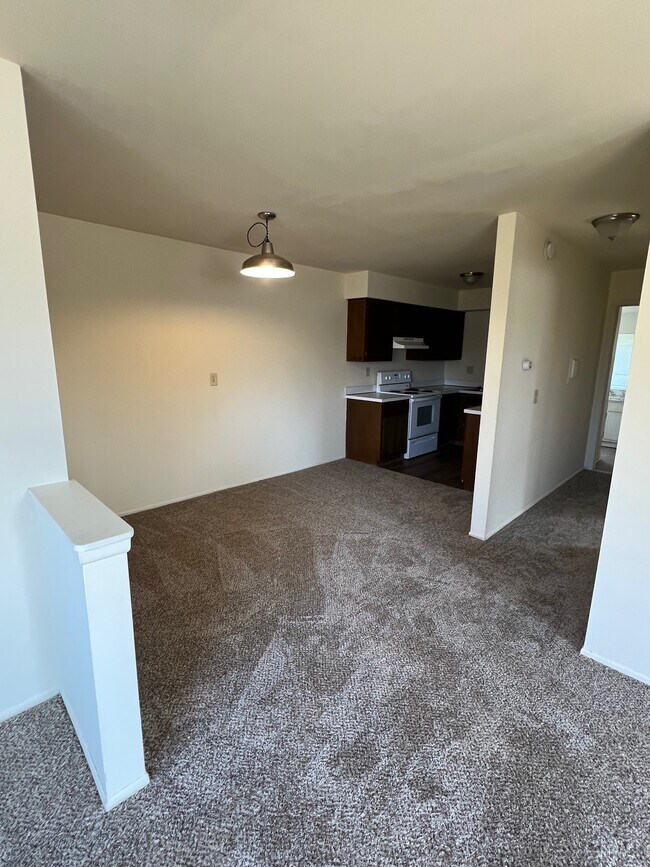 Photo - Continental Garden