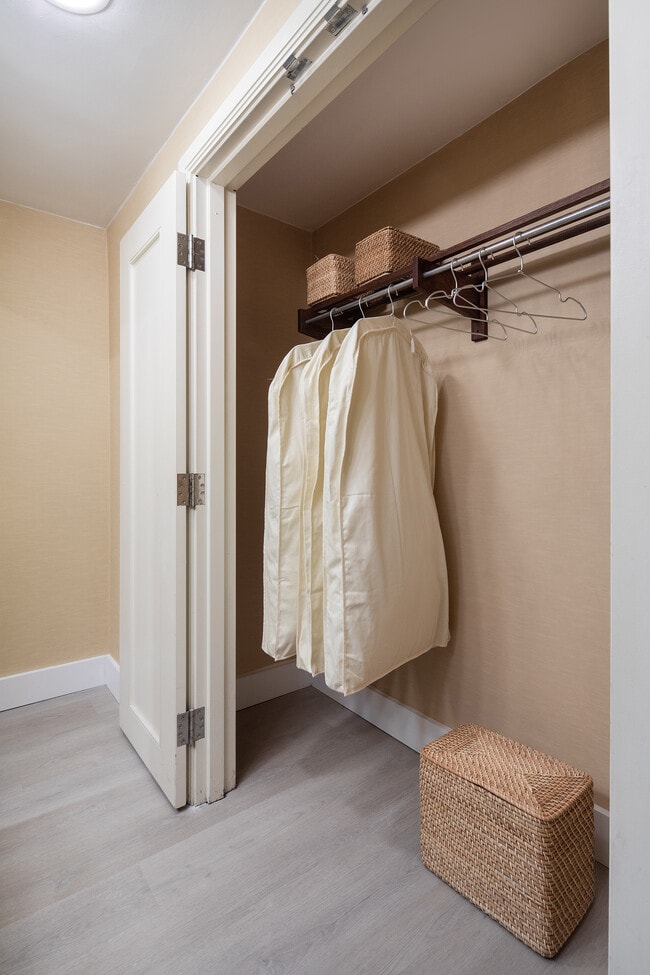 Photo - FOUND Study Turtle Bay- Student/Intern