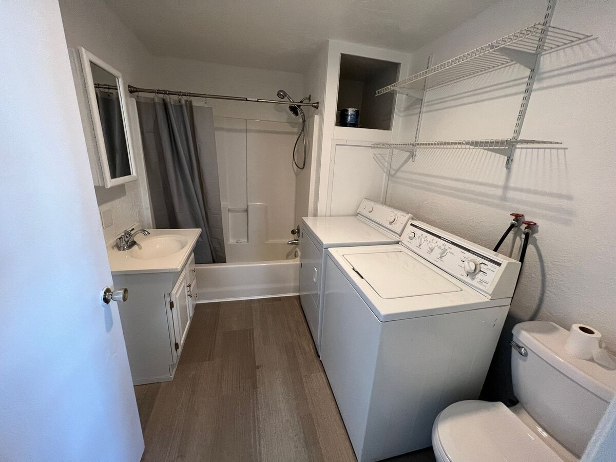 Photo - 1 bed 1 bath Apartment with Great Natural Light