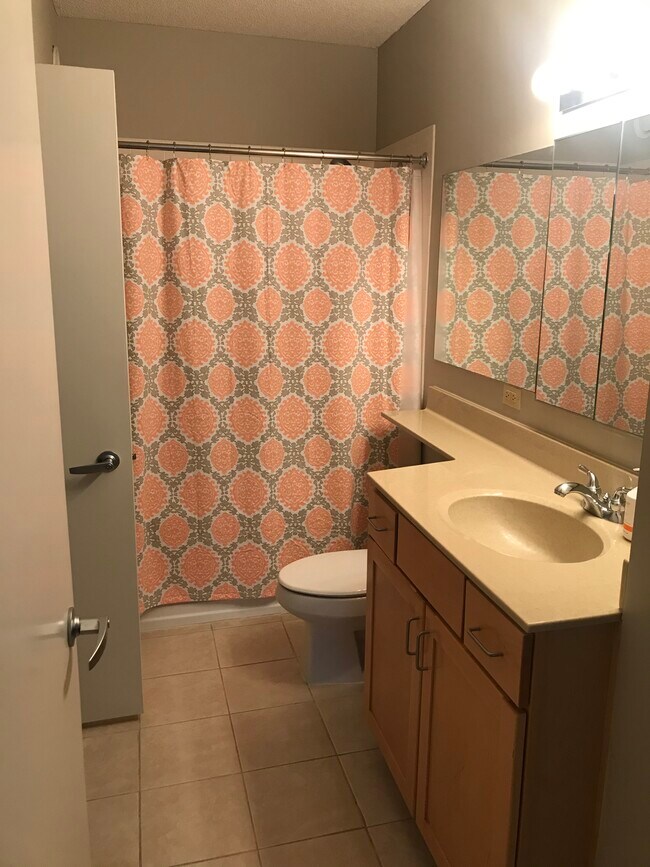 Bathroom - 222 N Columbus Dr Unit 3504