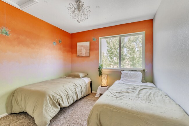 Photo - 5153 Chicory Cir