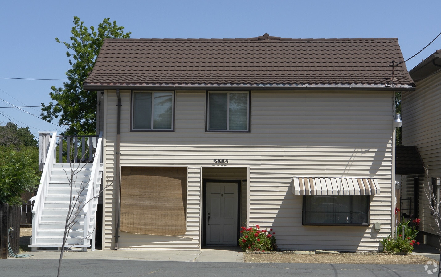 385 Chestnut - 385 Chestnut