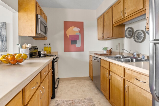 2 BD Paired Kitchen