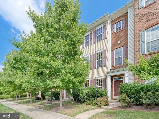 22653 Vienna Green Terrace