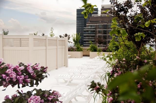 Photo - The Somerset