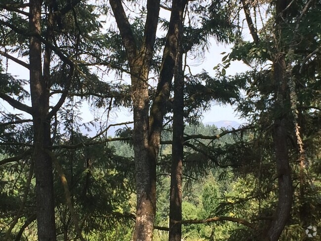 View from the deck off the Living  Room. - 2663 Woodstone Pl Unit 2663 Woodstone Place Rental