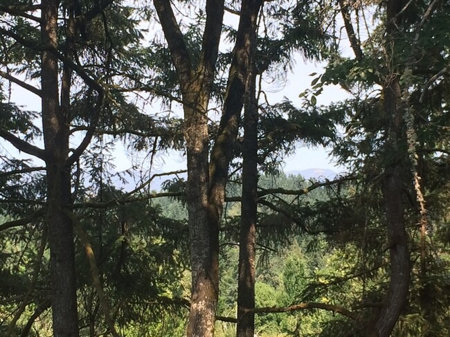 View from the deck off the Living Room. - 2663 Woodstone Pl Apartment