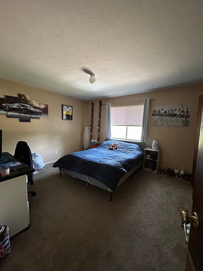 Photo - 4435 Maplepark Rd