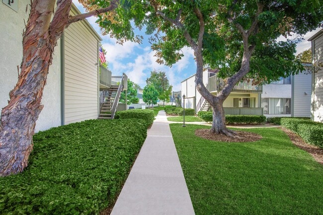 Photo - Canyon Village Apartment Homes
