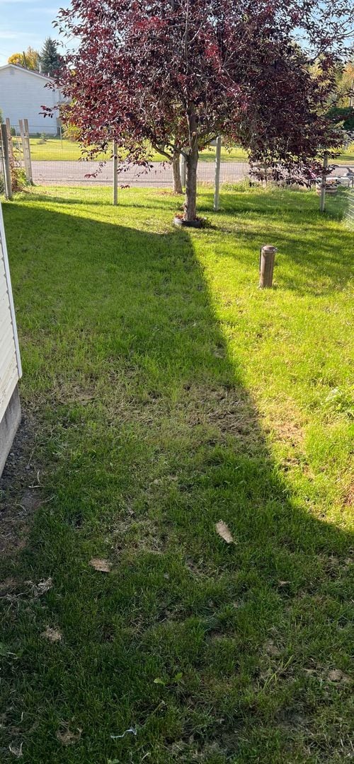 Photo - 2 N 7th Ave E Unit C