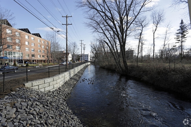 Photo - Lord Pepperell