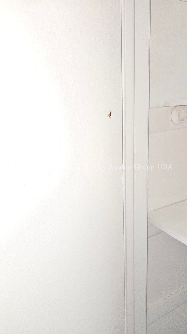 Photo - 6063 Longchamp Dr
