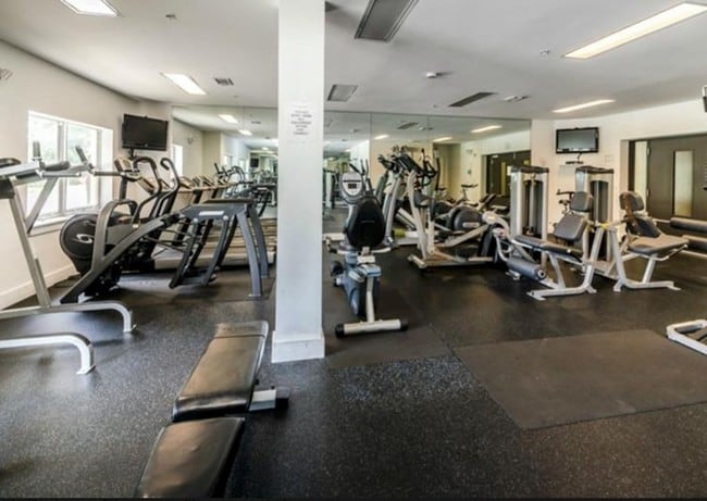 Fitness center on main lvl - 1010 Central Ave Unit 433