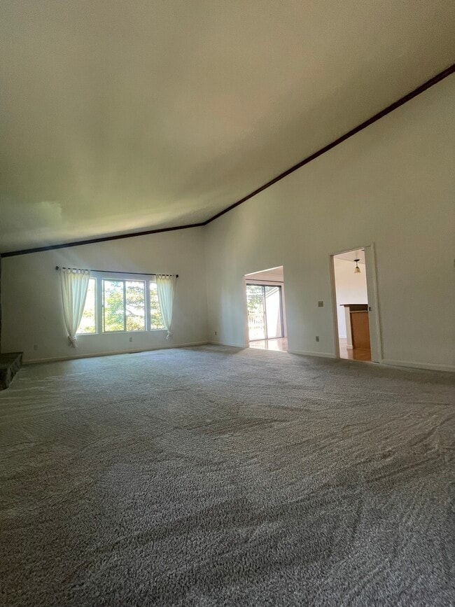 Photo - 24020 Janssen Ct