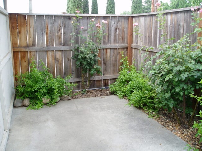 Building Photo - Ground Level 1 bedroom Condo Available soon Unit 24