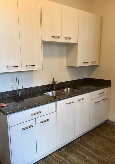 Photo - 929 S Laflin St