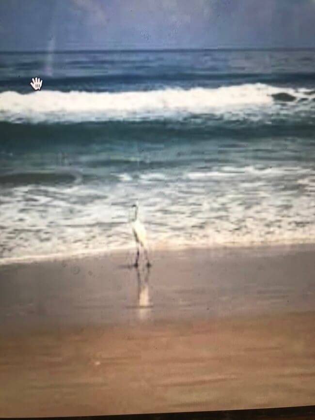 Photo - 39 Sandra Dr