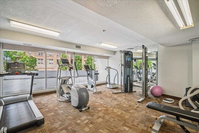 Photo - John Street Apartments