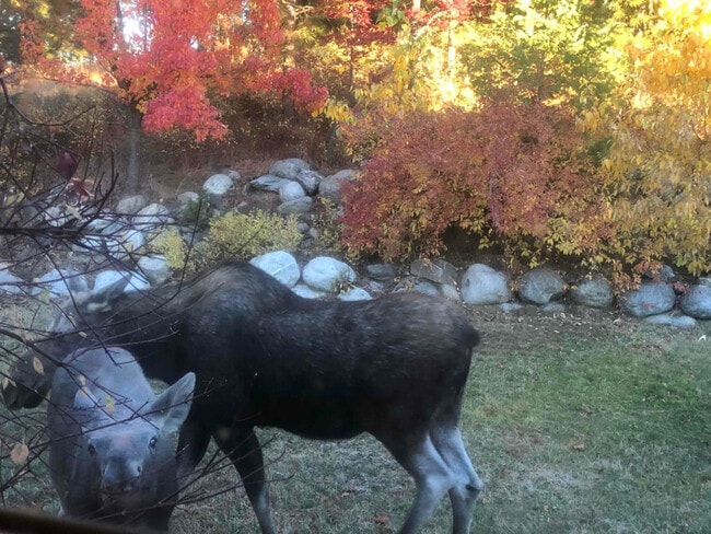 Photo - 19602 E Onyx Ln