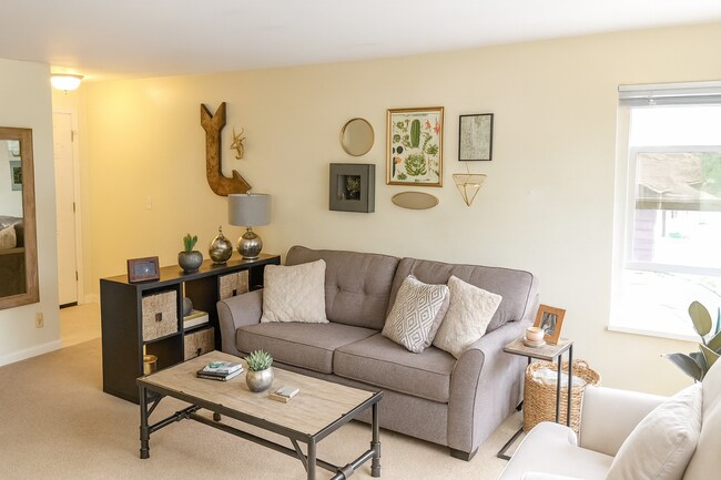 Photo - Marine Vista