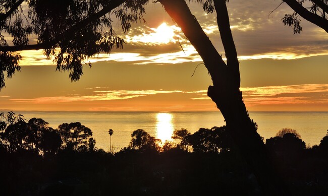 Photo - Channel View Apartments