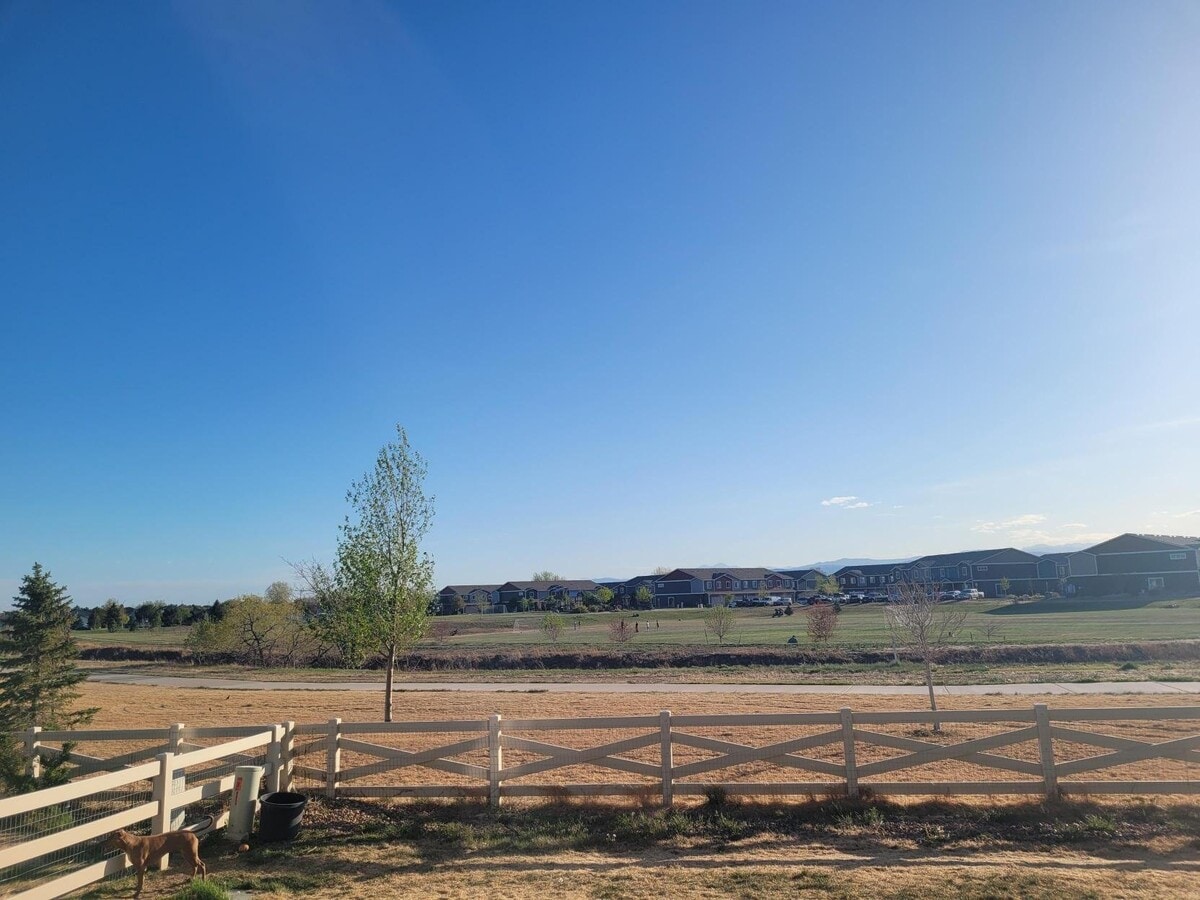 Photo - 7377 Horsechestnut St