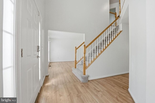 Photo - 11 St Marks Ct