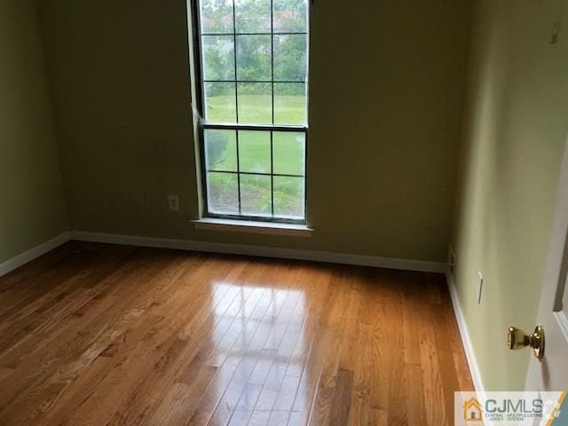 Building Photo - 331 Lancaster Ct Rental