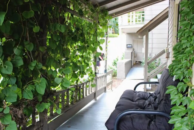 Photo - 207 Williams St