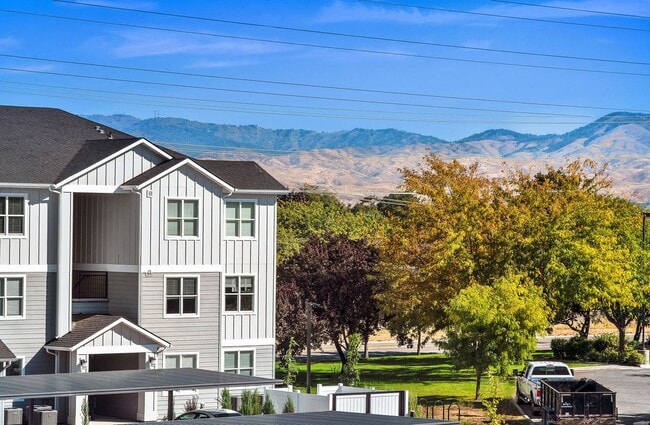 Springtree Apartments