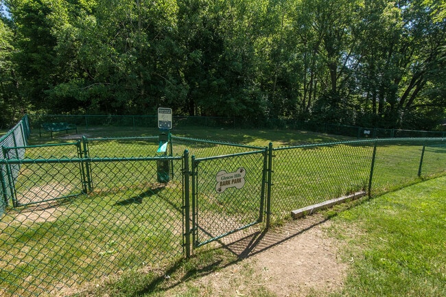 Dog Park