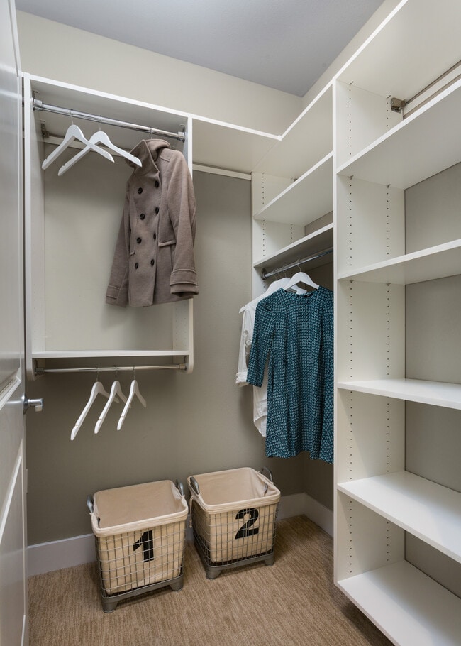 Signature Collection Closet