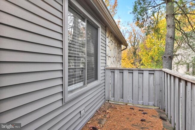 Photo - 1966 The Woods II