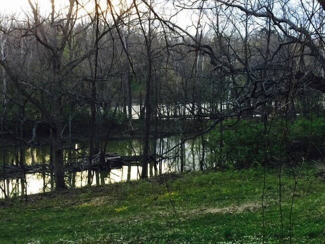 Photo - 7049 Riverside Dr