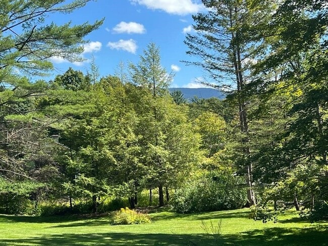Photo - 275 Hillvale Rd