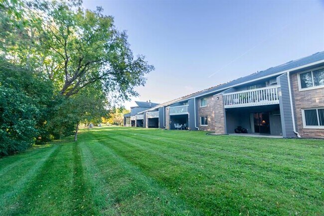 Photo - Hemlock Pines