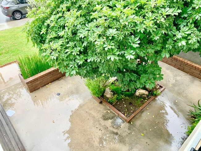 Photo - Five Bedroom Single Family Home in Irvine!